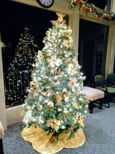 Performing Arts Theater «Cassidy Theatre», reviews and photos, 6200 Pearl Rd, Parma Heights, OH 44130, USA