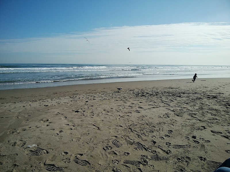 白里海水浴場