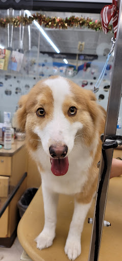 Pet Supply Store «PetSmart», reviews and photos, 2026 Lincoln Way E, Massillon, OH 44646, USA