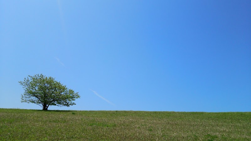 宇治公園