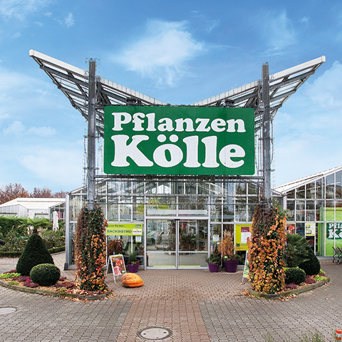 Pflanzen-Kölle Gartencenter GmbH & Co. KG Fellbach
