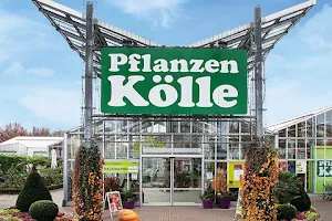Pflanzen-Kölle Gartencenter GmbH & Co. KG Fellbach image