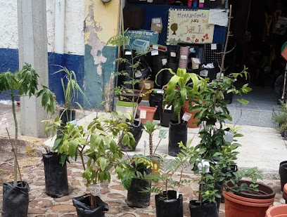 Centro de jardinería