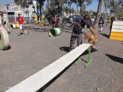 Ofergus Adiestramiento Canino