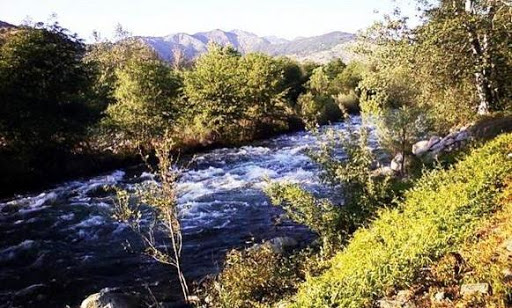 River View Grill & Bar image