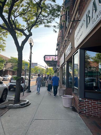 Performing Arts Group «Patchogue Theatre for the Performing Arts», reviews and photos, 71 E Main St, Patchogue, NY 11772, USA