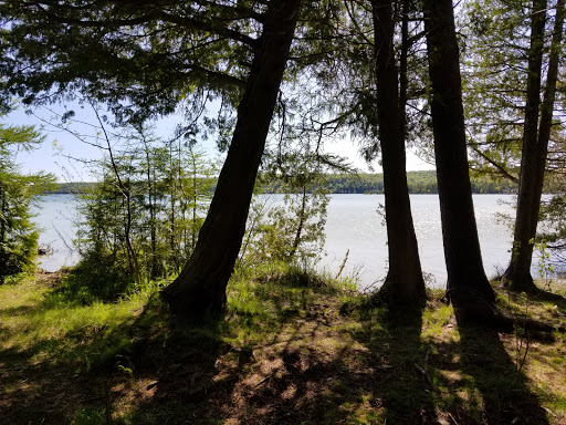 Nature Preserve «Teichner Preserve: The Leelanau Conservancy», reviews and photos, 5234 S Lime Lake Rd, Cedar, MI 49621, USA