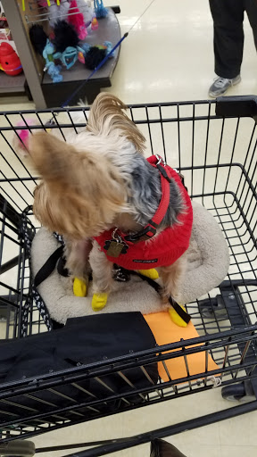 Pet Supply Store «Petco Animal Supplies», reviews and photos, 1 US-46, Totowa, NJ 07512, USA