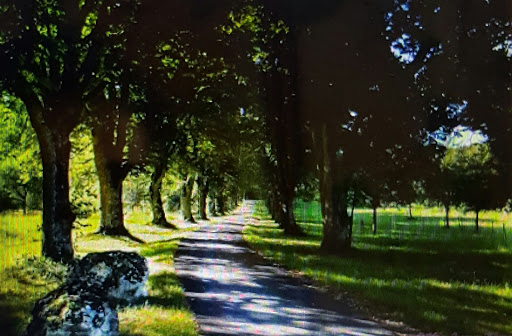 Art Museum «Worcester Art Museum», reviews and photos, 55 Salisbury St, Worcester, MA 01609, USA