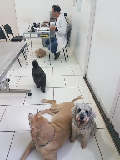 Clínica Veterinária Professor Marcio Vieira de Moraes em Ribeirão Preto - SP