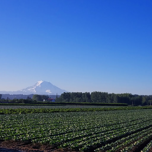 Self-Storage Facility «Trackside Storage», reviews and photos, 6220 66th Ave E, Puyallup, WA 98371, USA