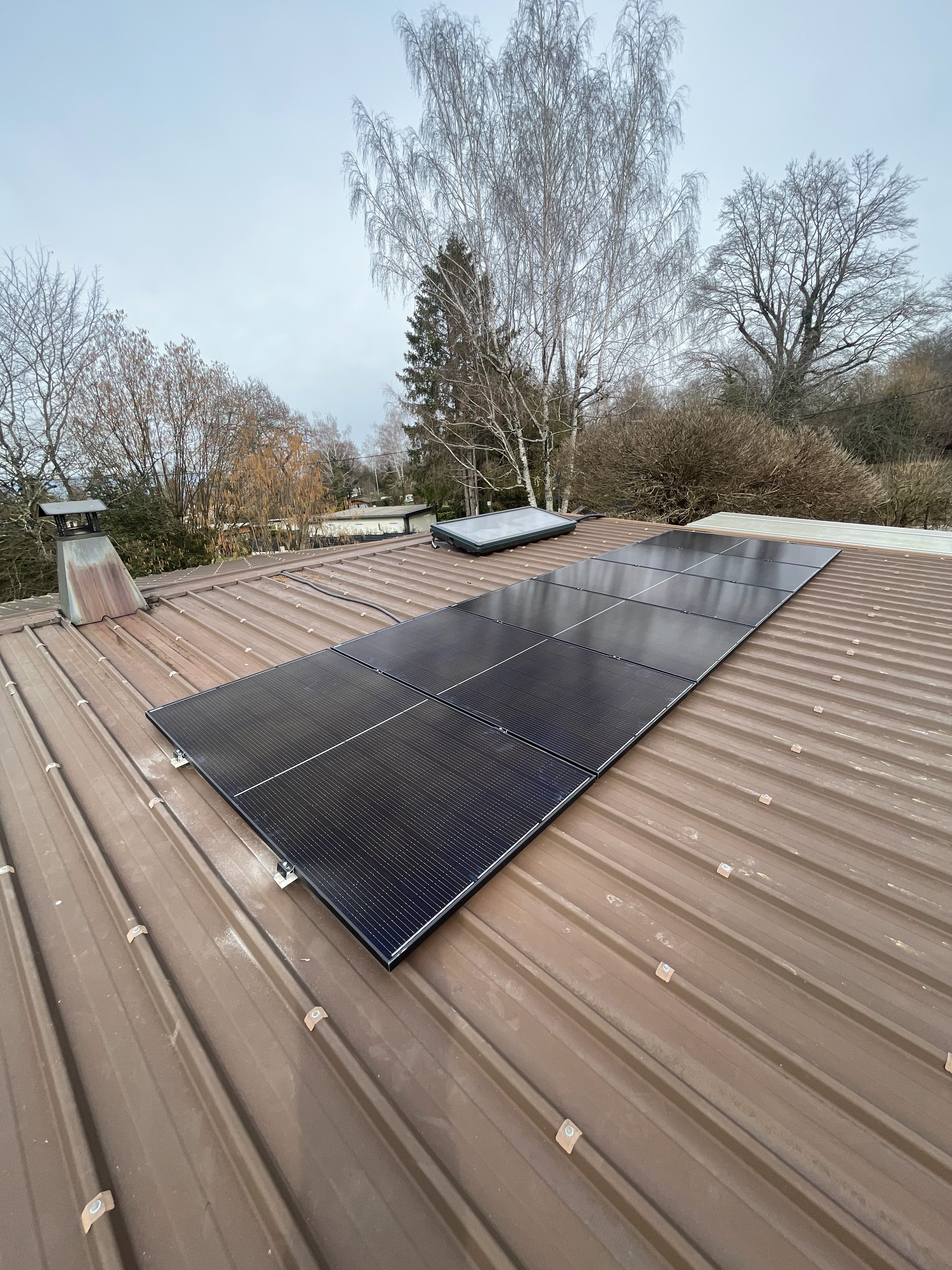 Photo n° 2 de l'avis de TERRE.E fait le 21/02/2024 à 14:31