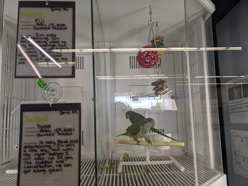 Pet Supply Store «Petco Animal Supplies», reviews and photos, 16710 Royalton Rd, Strongsville, OH 44136, USA