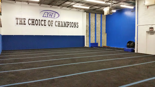 Dance Company «ACE Cheer and Dance Center», reviews and photos, 28913 N Herky Dr #305, Lake Bluff, IL 60044, USA