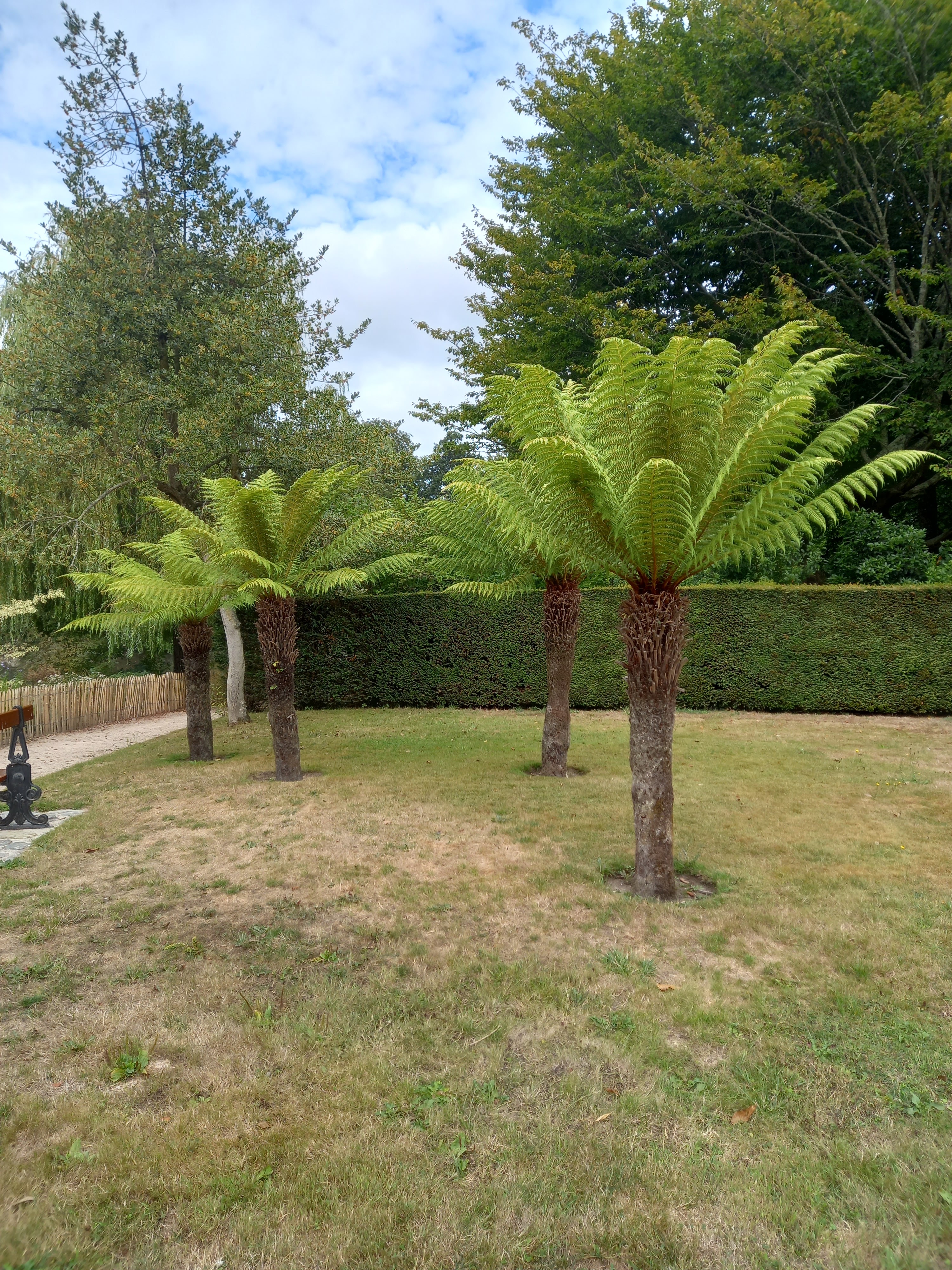 Photo n° 5 de l'avis de Sébastien.A fait le 23/08/2022 à 12:41