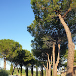 Photo n°3 de l'avis de Martina.o fait le 20/05/2022 à 17:13 sur le  Hotel Sovestro à San Gimignano