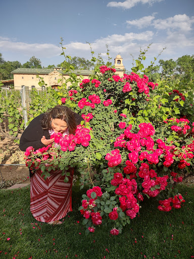 Winery «Casa Rondena Winery», reviews and photos, 733 Chavez Rd, Los Ranchos De Albuquerque, NM 87107, USA