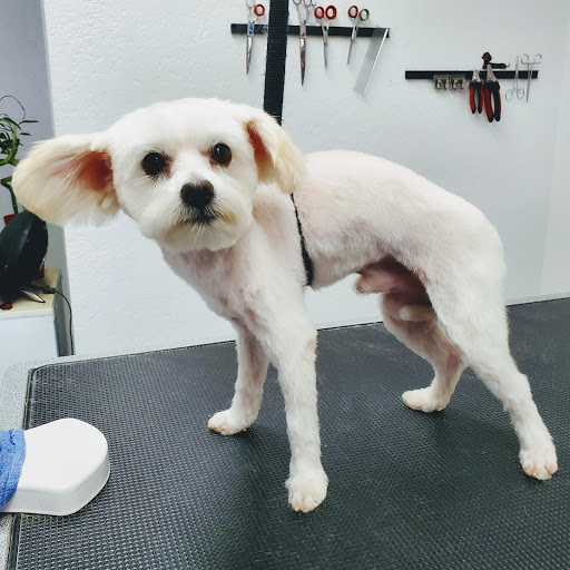 Abril’s Paw Spa LLC