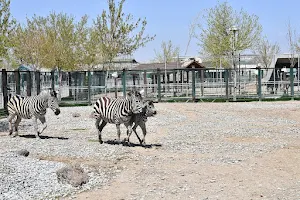 Kayseri Zoo image