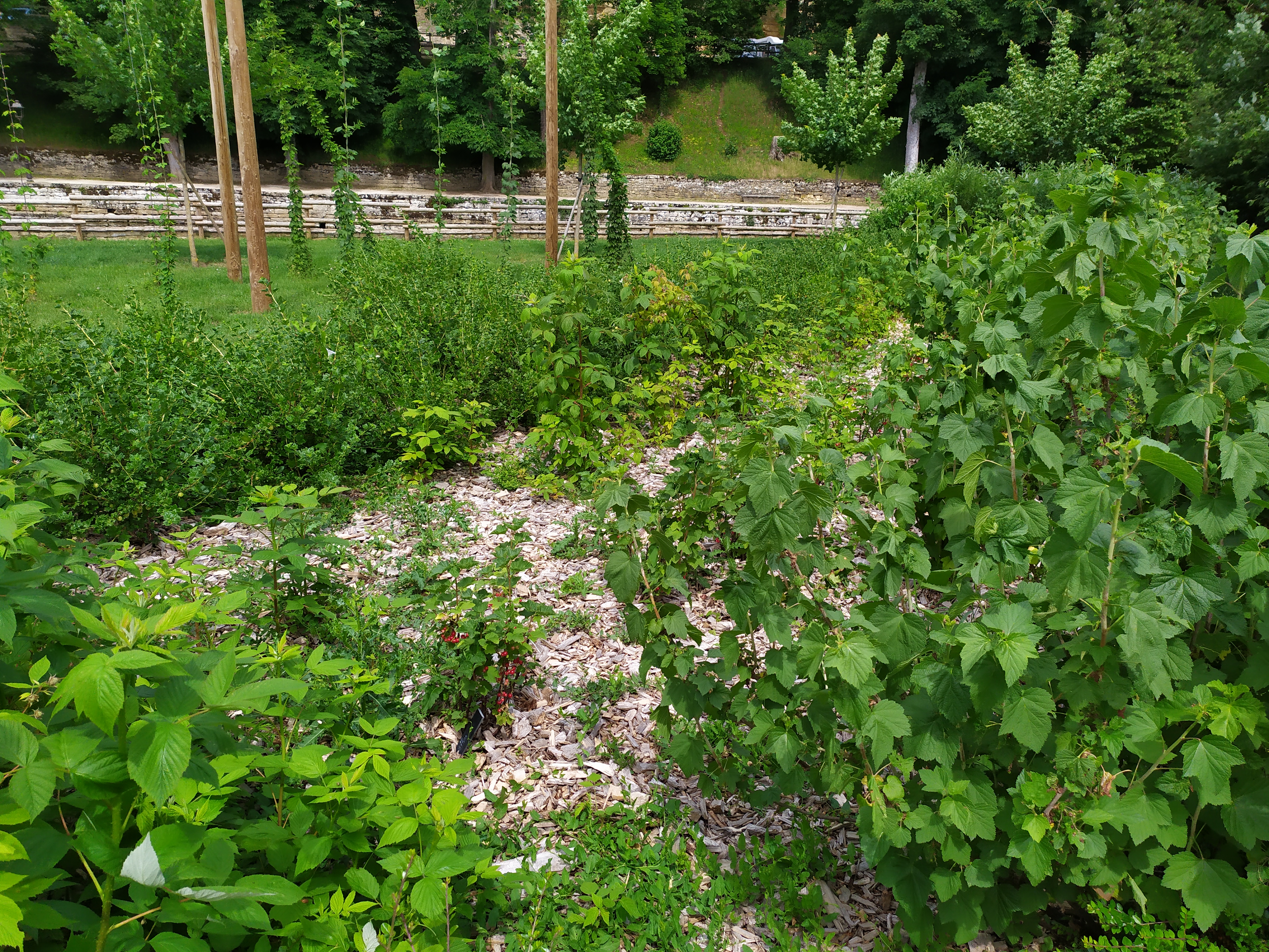 Photo n° 1 de l'avis de Eric.o fait le 07/06/2022 à 19:45