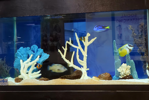 Ford Dealer «AutoNation Ford Bradenton», reviews and photos, 5325 14th St W, Bradenton, FL 34207, USA