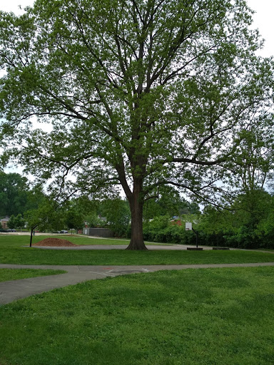 Florist «Victor Mathis Florist», reviews and photos, 2531 Bank St, Louisville, KY 40212, USA