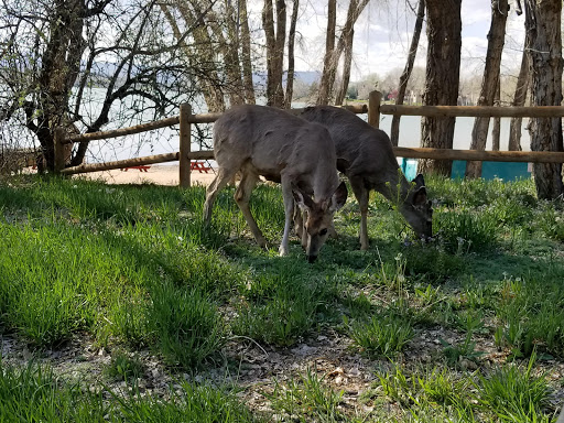 Country Club «Fort Collins Country Club», reviews and photos, 1920 Country Club Road, Fort Collins, CO 80524, USA