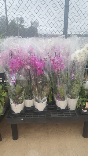 Department Store «Walmart Supercenter», reviews and photos, 9451 FM 1960 Bypass Rd E, Humble, TX 77338, USA