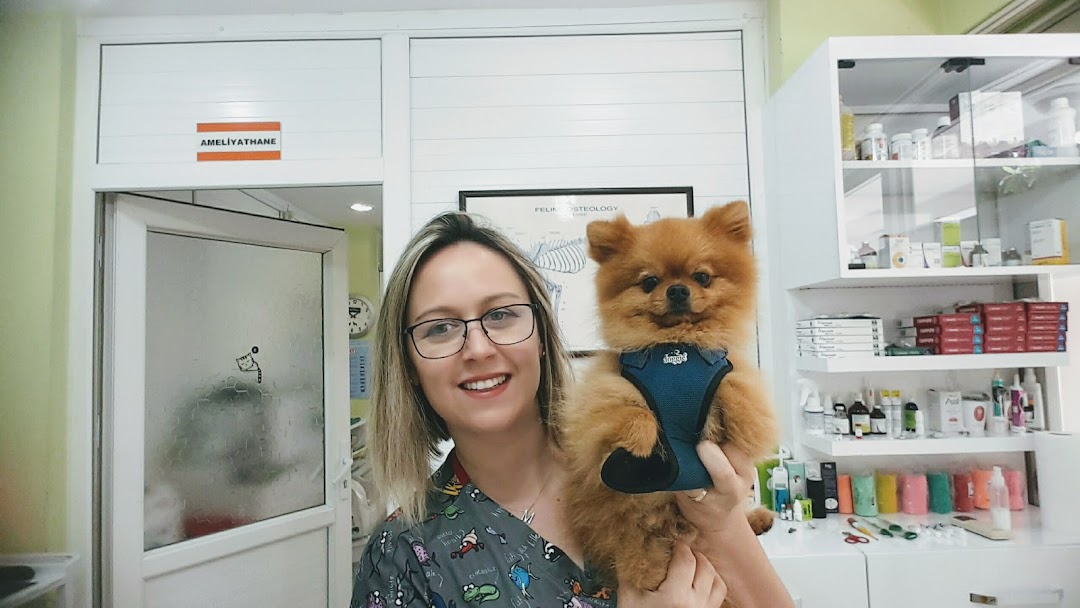 Alanya Meltems Veteriner Klinii Veterinary Clinic Tierklinik 
