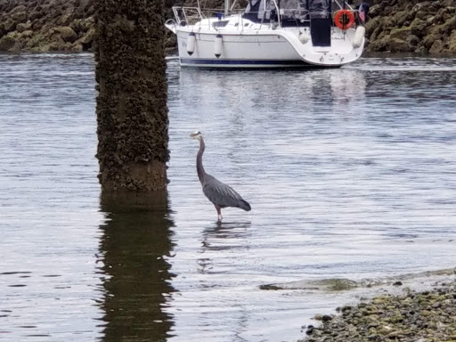 Conference Center «Des Moines Beach Park Auditorium», reviews and photos, 22030 Cliff Ave S, Des Moines, WA 98198, USA
