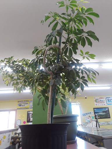 Laundromat «37th Street Coin Laundry», reviews and photos, 1856 37th St, Florence, OR 97439, USA