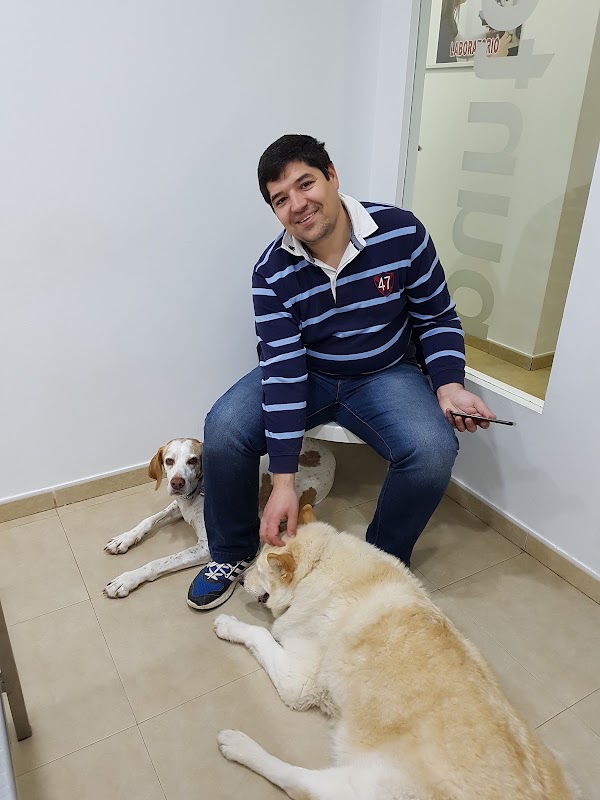 Puntovet Servicios Veterinarios SL
