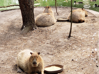 Safari North Wildlife Park