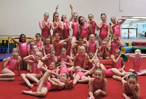 Gymnastics Club «Phoenix Gymnastics & Dance Academy», reviews and photos, 1926 W Monona Dr, Phoenix, AZ 85027, USA