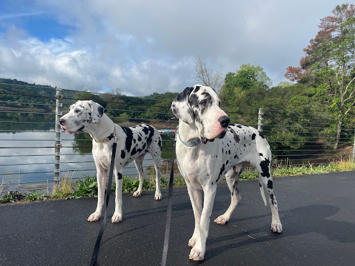 1 Bates Blvd #200, Orinda, CA 94563, USA