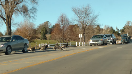 Golf Course «Meadowlark Hills Golf Course», reviews and photos, 3300 30th Ave, Kearney, NE 68845, USA
