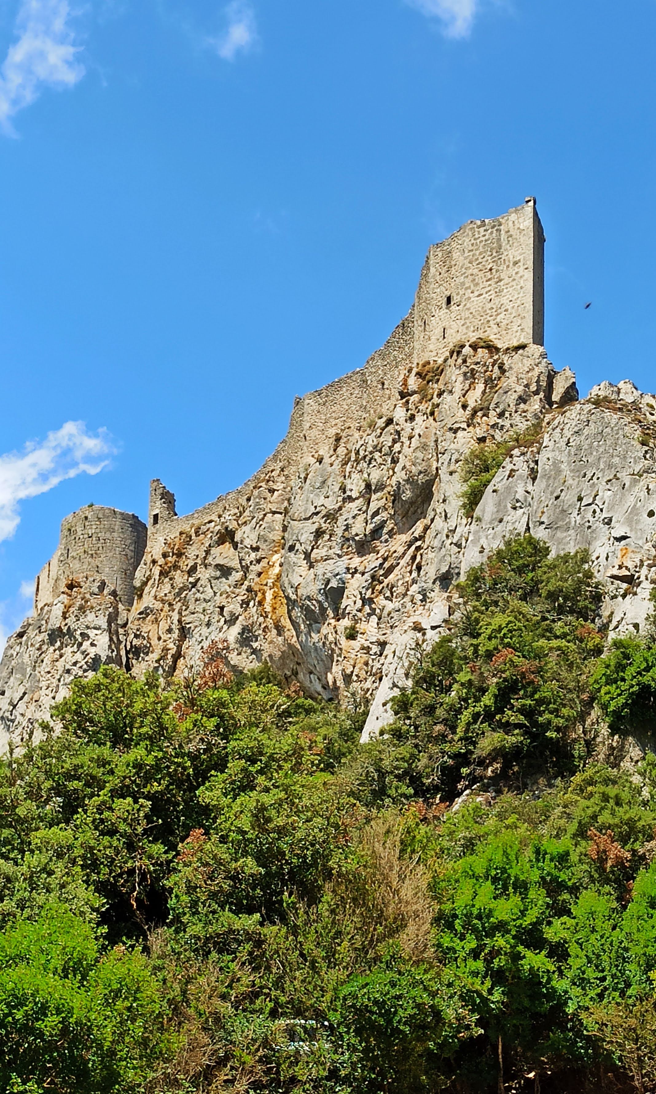 Photo n° 3 de l'avis de rach.h fait le 24/07/2021 à 17:48