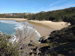 Photo de Little Diggers Beach avec un niveau de propreté de très propre