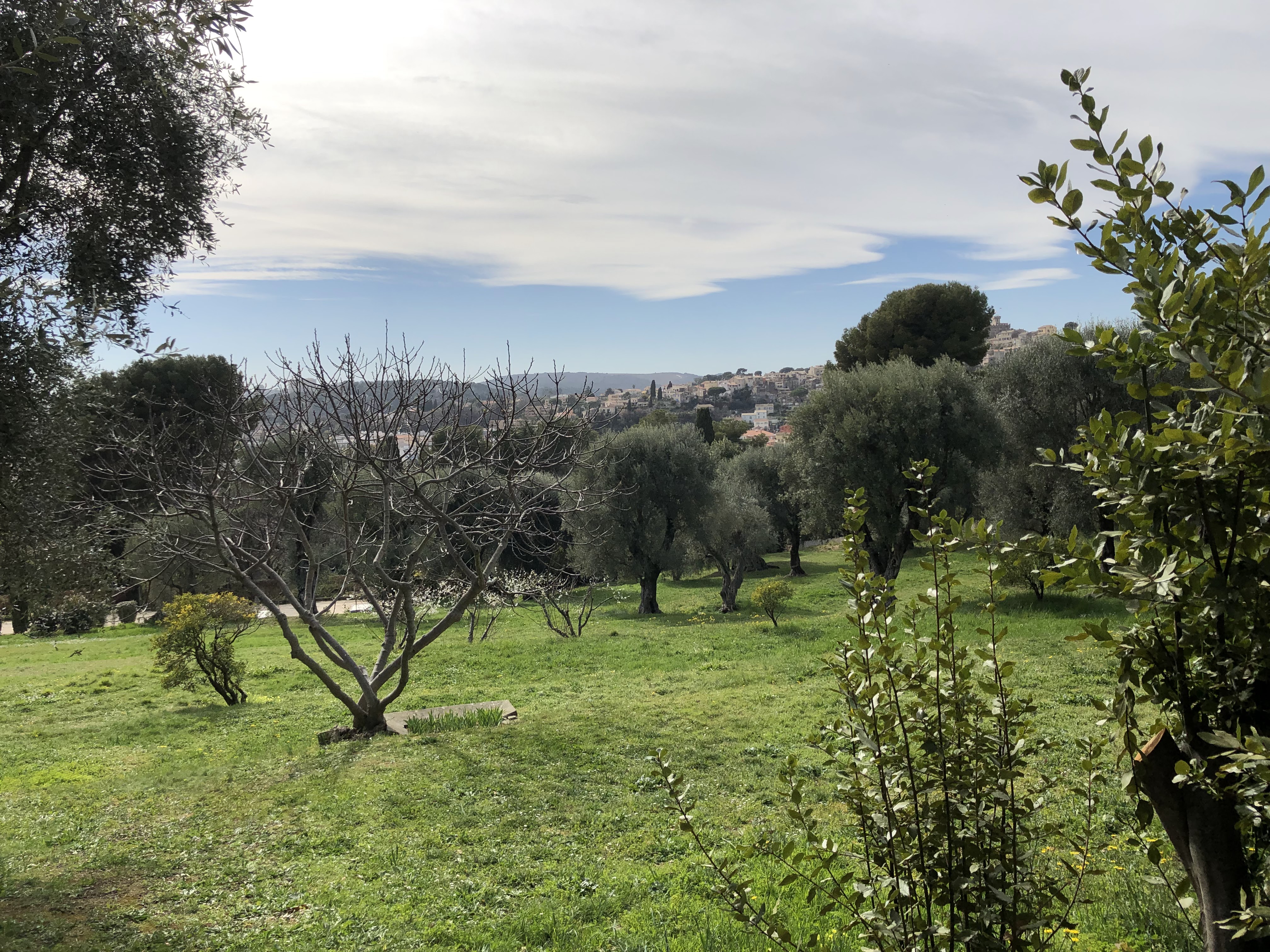 Photo n° 11 de l'avis de Denis.u fait le 25/04/2019 à 10:20
