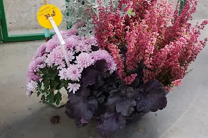 Horti Sologne image