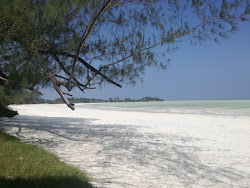 Pemba Beach'in fotoğrafı çok temiz temizlik seviyesi ile