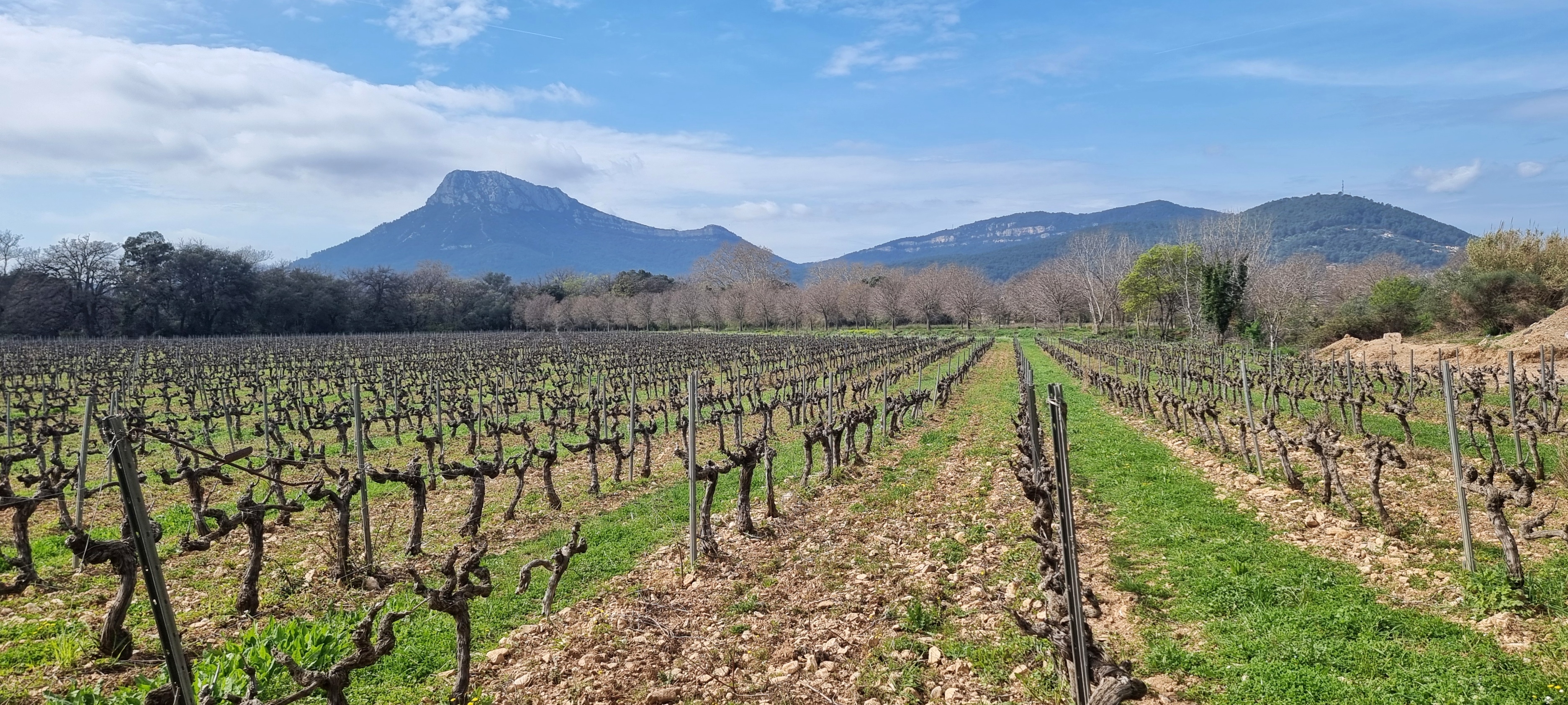 Photo n° 4 de l'avis de Stéphan.a fait le 18/03/2024 à 16:11