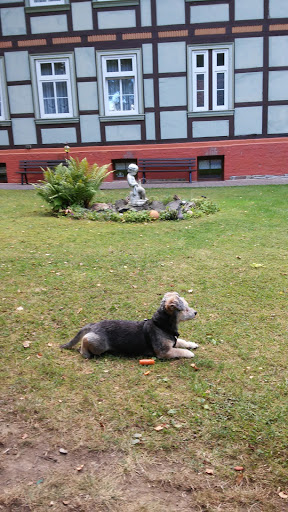 Day Krankenhaus for diagnosis and treatment of small Tiere unter Chemnitz, 