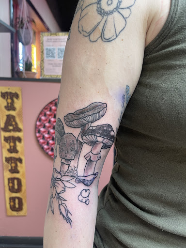 Explore small owl tattoo ideas, creative tattoo ideas in Clintonville, available at Honey Heart Tattoo
