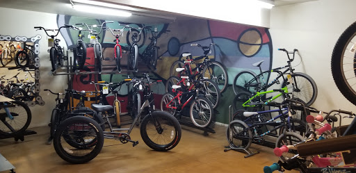 Bicycle Store «Landis Cyclery», reviews and photos, 712 W Indian School Rd, Phoenix, AZ 85013, USA