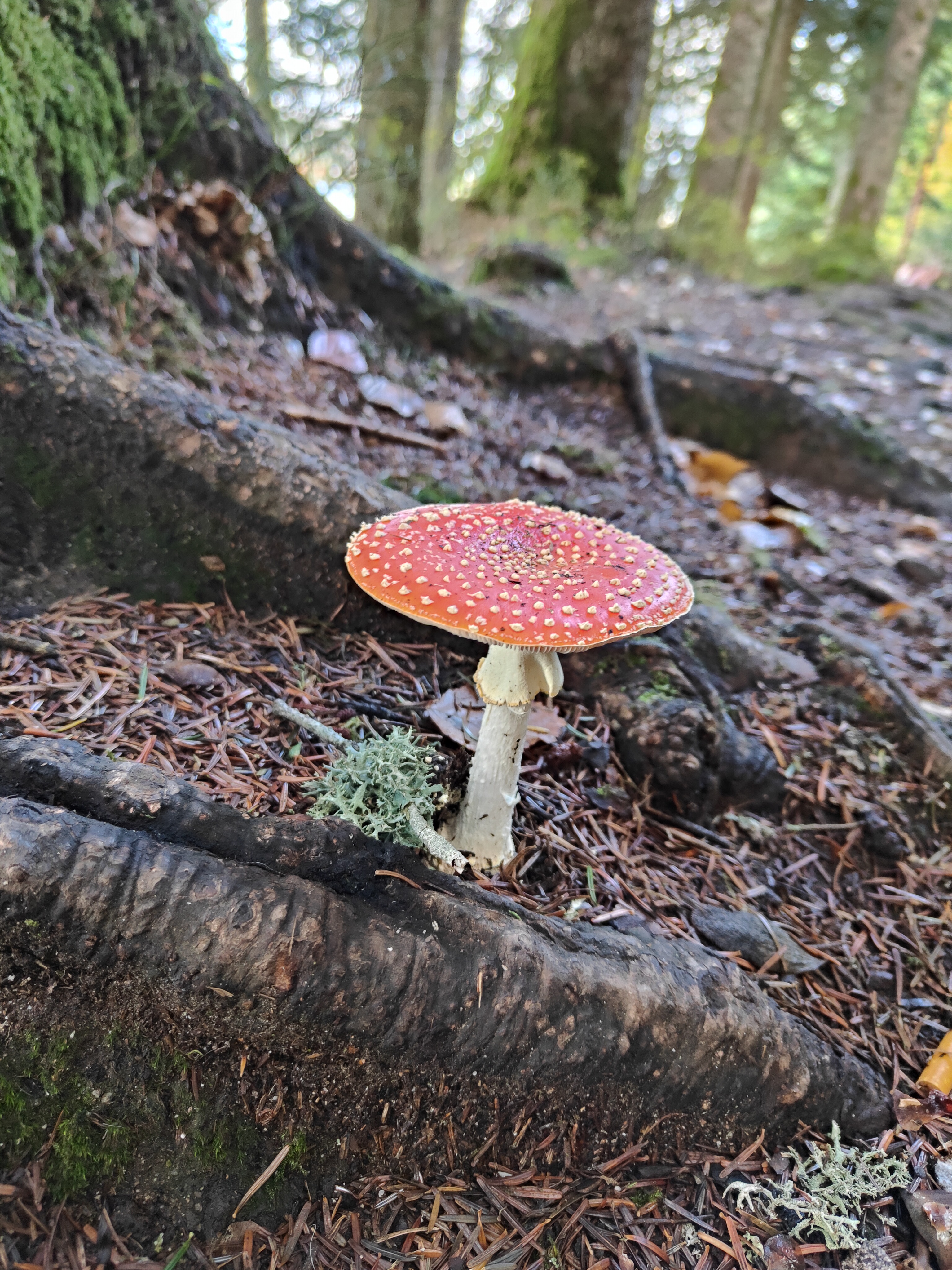 Photo n° 1 de l'avis de C..x fait le 30/10/2023 à 19:34