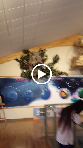 Museum «Creation Evidence Museum», reviews and photos, 3102 FM 205, Glen Rose, TX 76043, USA