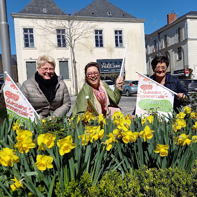 Castel Shopping : association des commerçants de Château-Gontier sur Mayenne à Château-Gontier-sur-Mayenne