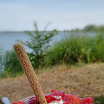 Photo n°4 de l'avis de Ivetta.e fait le 18/07/2018 à 13:28 sur le  Ristorante Pizzeria & Eiscafe Bellavista à Wusterwitz