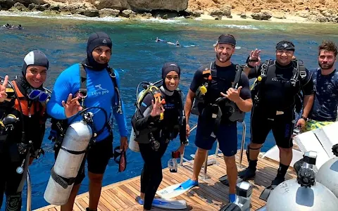 Diving Hurghada image